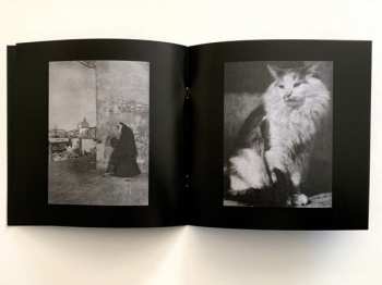 LP Loren Mazzacane Connors: Airs