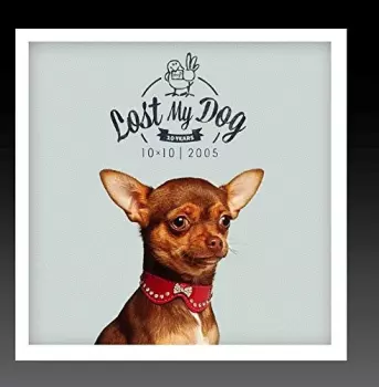 Lost My Dog 10x10: 2005 / Var: Lost My Dog 10x10: 2005