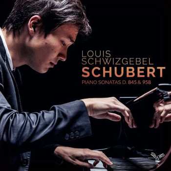 Album Franz Schubert: Piano Sonatas D. 845 & 958