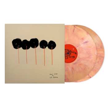2LP L.S. Dunes: Past Lives