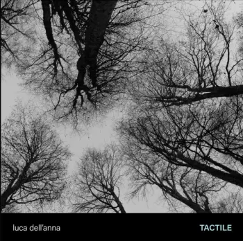 Luca dell'Anna: Tactile