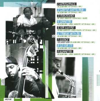 CD Lucian Ban: Playground