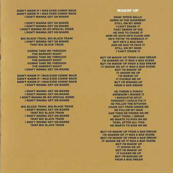 CD Lucinda Williams: Good Souls Better Angels