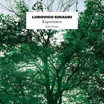 SP Ludovico Einaudi: Experience
