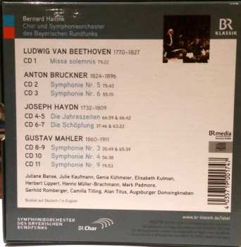 11CD/Doos Ludwig van Beethoven: Bernard Haitink Portrait