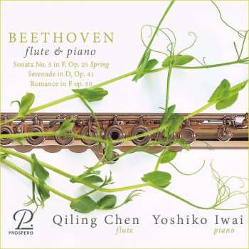 Album Ludwig van Beethoven: Kammermusik Für Flöte & Klavier