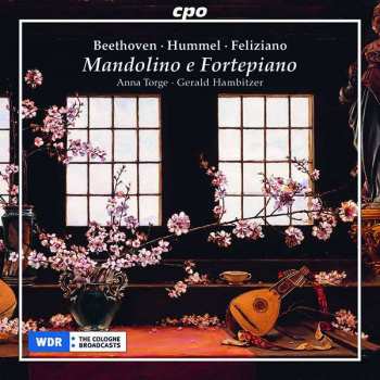 Album Ludwig van Beethoven: Mandolino E Fortepiano