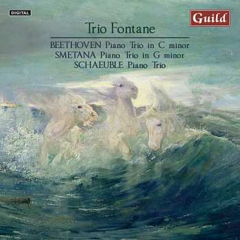 CD Ludwig van Beethoven: Trio Fontane