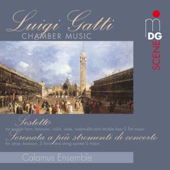 Album Luigi Gatti: Chamber Music