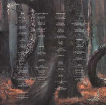 LP Lunatic Soul: Through Shaded Woods