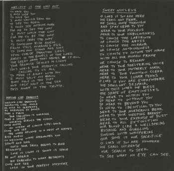 CD Lungfish: Feral Hymns