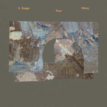 Album Matthew Sage: Tender / Wading