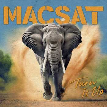 LP Macsat: Turn It Up CLR | LTD