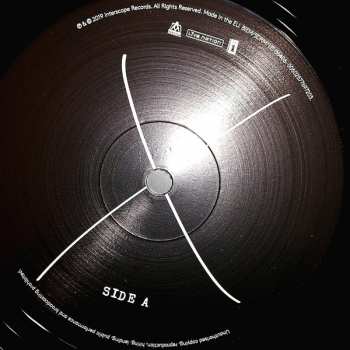 2LP Madonna: Madame X
