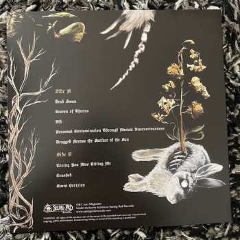 LP Magnatar: Crushed