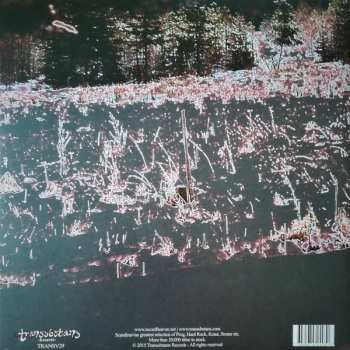 LP Magnolia: Svarta Sagor