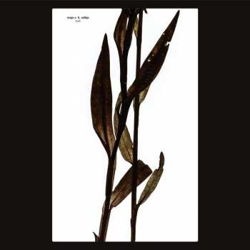 Album Maja S. K. Ratkje: Sult