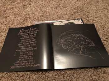 LP Malthusian: Across Deaths