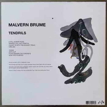 LP Malvern Brume: Tendrils