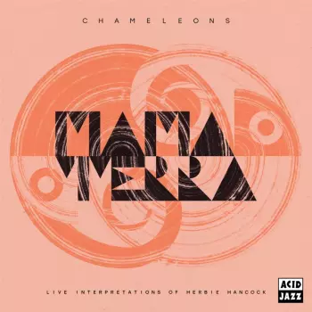 Chameleons Live