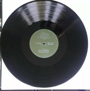 LP Mama's Broke: Narrow Line