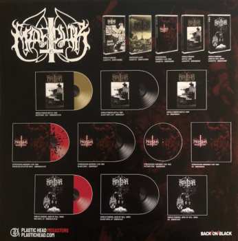 LP Marduk: Strigzscara - Warwolf LTD | CLR
