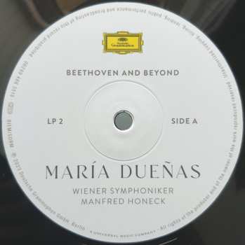 2LP Wiener Symphoniker: Beethoven And Beyond
