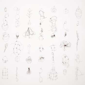 Album Maria Reich: Interdependenzen