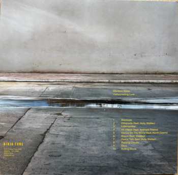 LP Maribou State: Hallucinating Love CLR | LTD