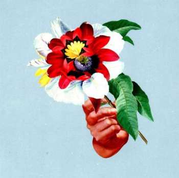 Album Maribou State: Kingdoms In Colour
