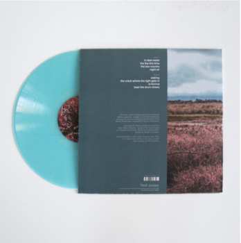 LP Marisa Anderson: Still, Here LTD | CLR