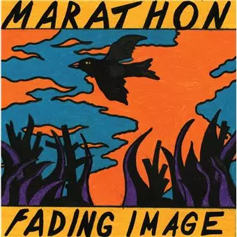 Mark Kelly's Marathon: Fading Image
