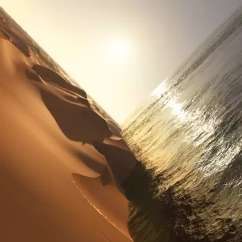 Mark Pritchard: Under the Sun