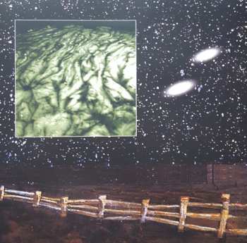 LP Mark Snow: The Truth And The Light (Music From The X-Files) CLR | LTD