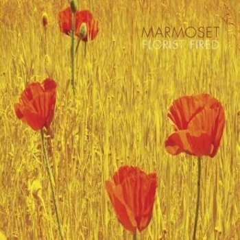 CD Marmoset: Florist Fired