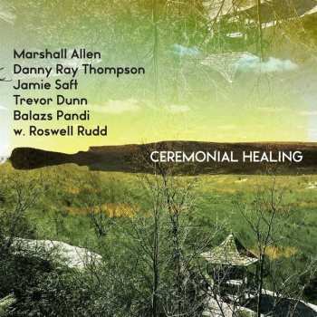 Album Jamie Saft: Ceremonial Healing