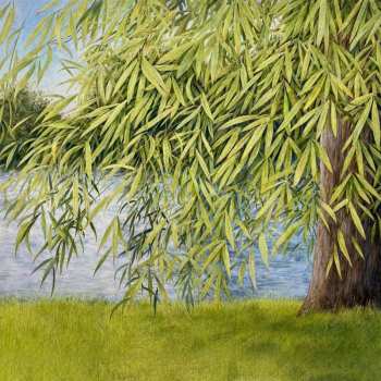 CD Martin Simpson: Nothing But Green Willow (The Songs Of Mary Sands And Jane Gentry)