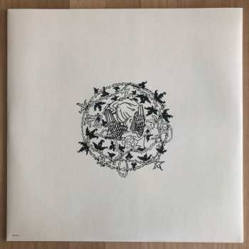 LP Maruja: Pain To Power LTD | CLR