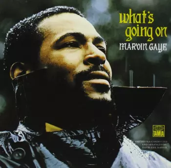 Marvin Gaye: What's Going On