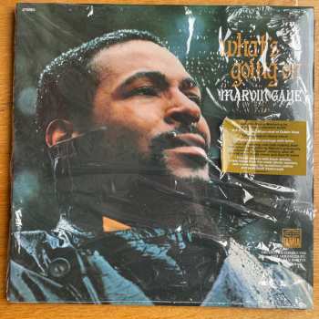 2LP Marvin Gaye: What's Going On LTD