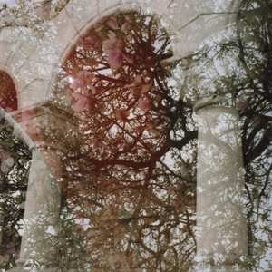 LP Mary Lattimore: Gainer LTD