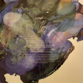 2LP Mary Halvorson: Amaryllis & Belladonna