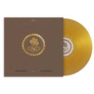 LP Mary Lattimore: Collected Pieces: 2015–2020 LTD | CLR