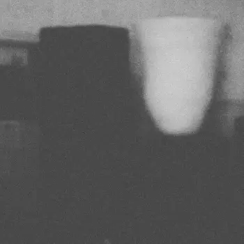 The Prosperity Of Vice, The Misfortune Of Virtue (Electro-Music For Romantica)