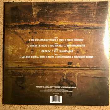 2LP Matisyahu: Youth