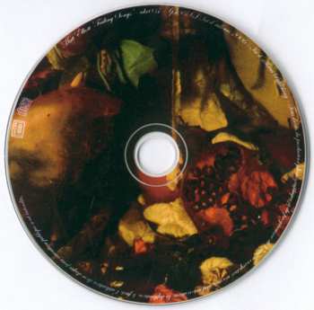 CD Matt Elliott: Failing Songs