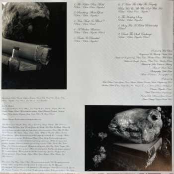 2LP Matt Elliott: Howling Songs
