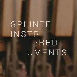LP Matthew Collings: Splintered Instruments LTD | CLR