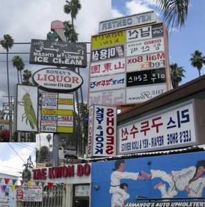 Album Matthew Friedberger: Cut It Out