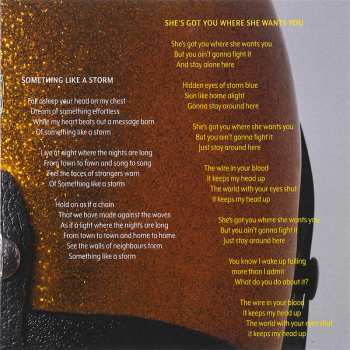 CD Matthew Good: Something Like A Storm